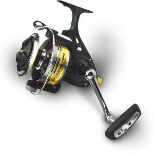 Black Cat Reels