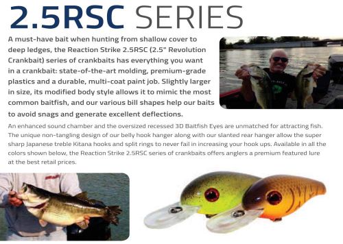 REACTION STRIKE:2.5RC 2.0