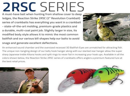 REACTION STRIKE:2RC 3.0