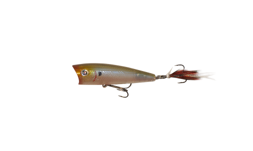 Bloody Ghost Minnow 