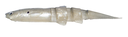 Super Jerky J 8.25