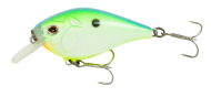 Citrus Shad 