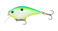 Citrus Shad 