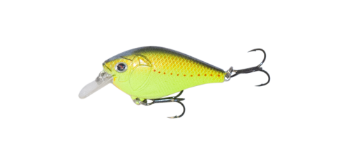 Copper Perch 
