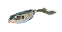 Gill