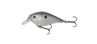 Green Gizzard Shad 