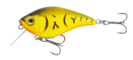 Orange Belly Craw 