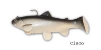 CASTAIC:SBT 4