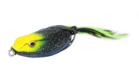 Click to enlarge