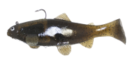 CASTAIC:SBT 4